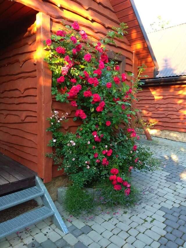 Лоджи Całoroczne Domki 